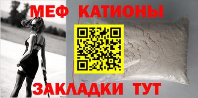 прущие грибы Краснодар