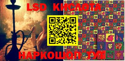 прущие грибы Краснодар
