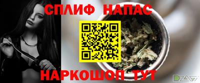 прущие грибы Краснодар
