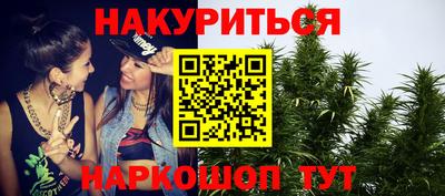 прущие грибы Краснодар