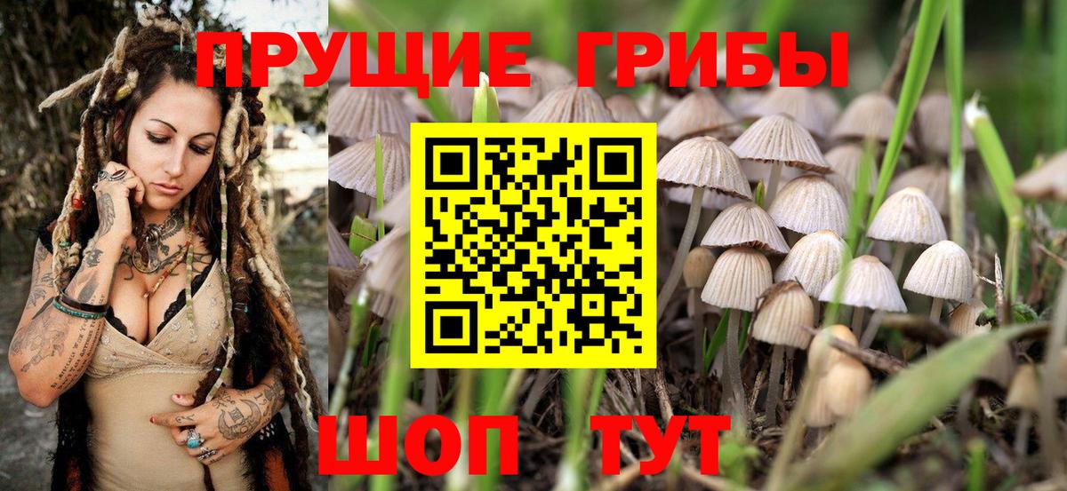 Лесозаводск  где купить наркотик  Вход с VPN  Псилоцибиновые грибы Cubensis 