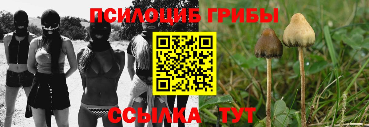 Галлюциногенные грибы прущие грибы Лесозаводск